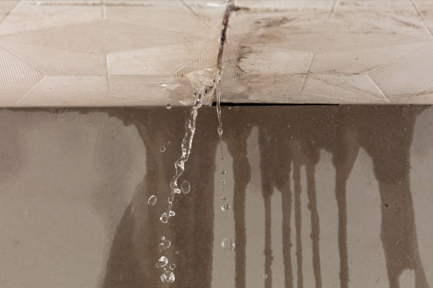 Professional Water Damage Repair technician working in Manchaca, TX